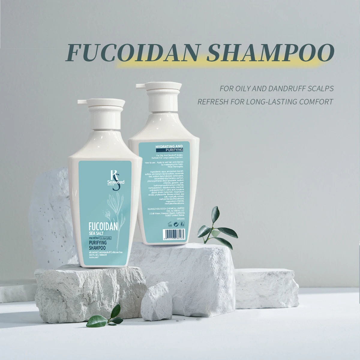 Professional Oil Control Moisturizing Anti-Itching Fucoidan Purifying Hair Care Organic Natural Dandruff Shampoo