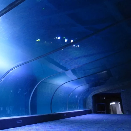 Заводская Продажа индивидуальный акриловый аквариумный туннель для аквариума