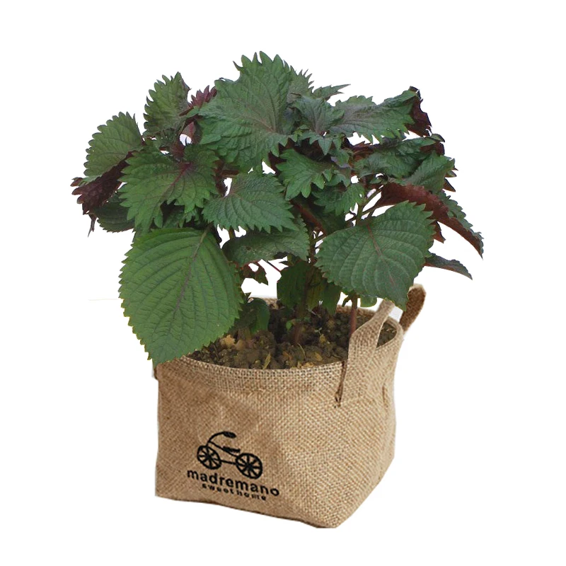 Wholesale Garden Original Jute Plant Pots Vintage Planter Jute Grow Bags