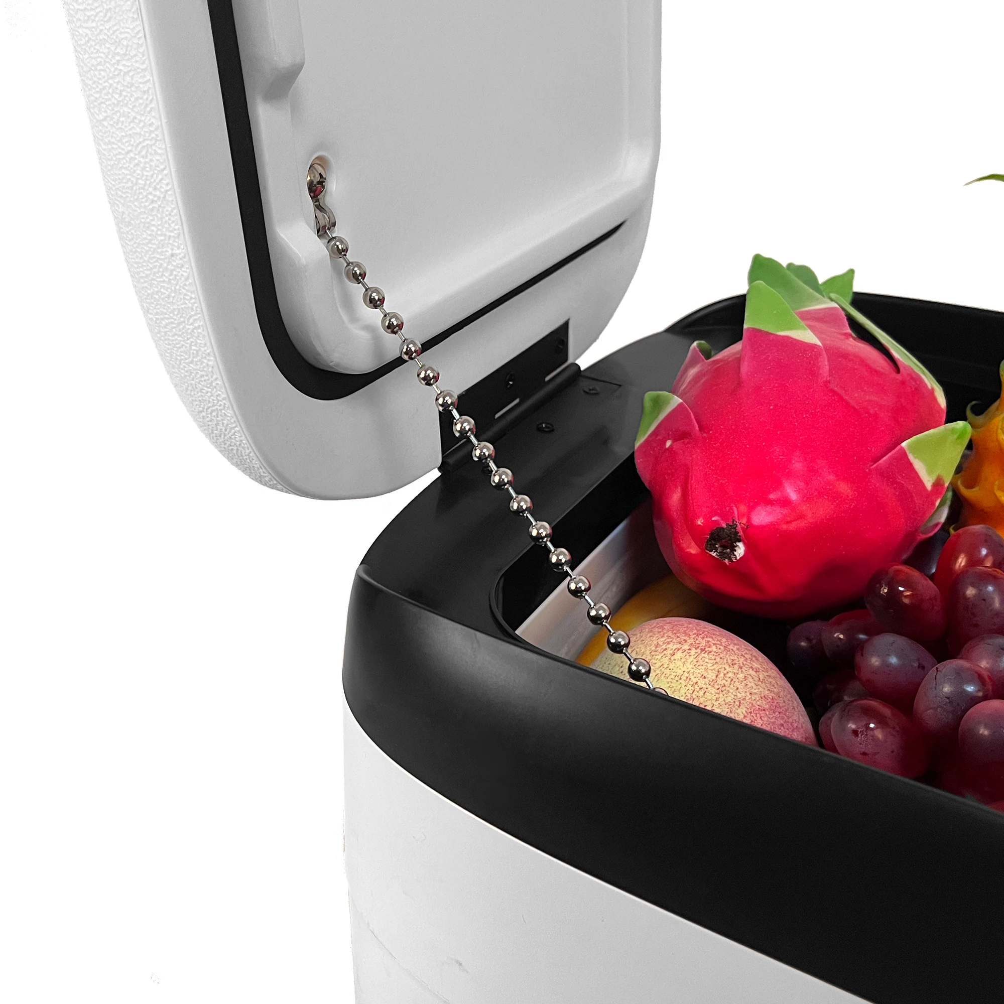 18L Car Home Auto Refrigerator Mini Fridges DC12/24V Freezer Cooler Heater Keep Warm Fresh for Car Home Pinic Camping AC110/220V