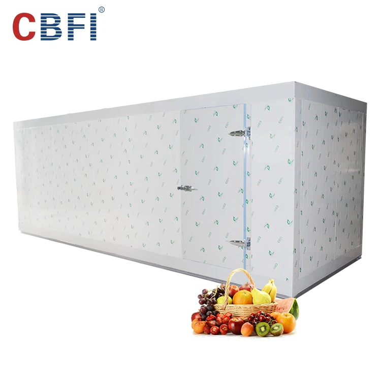 Best price frozen cold room for meat and fish storage