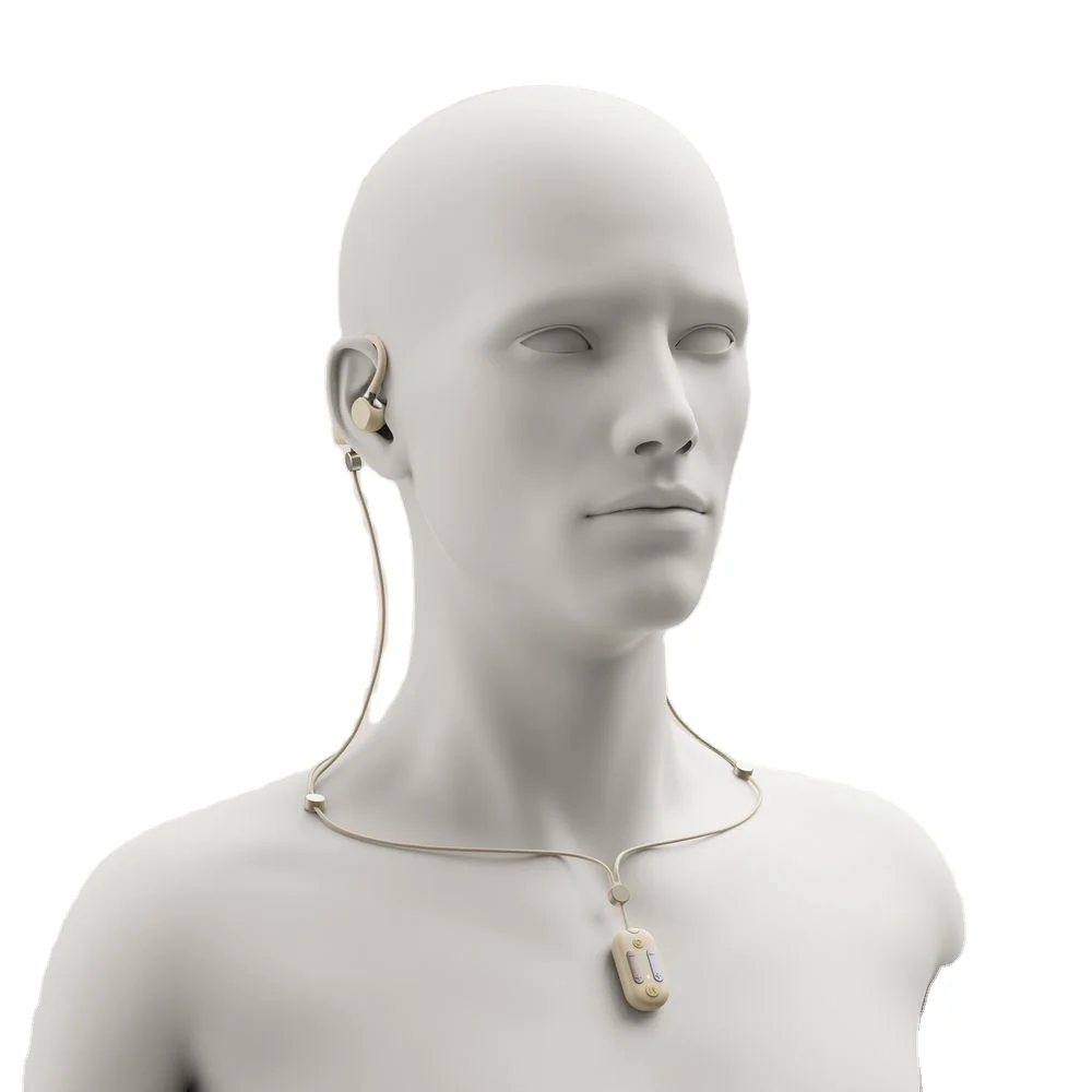 Лидер продаж, интеллектуальное устройство для шумоподавления, перезаряжаемые слуховые аппараты, цифровые невидимые беспроводные усиленные наушники в ухо