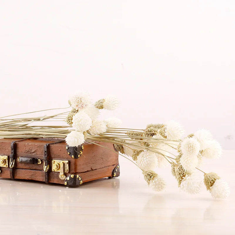 Yunnan Dried Flowers Colorful Strawberry Fruit Floral Arrangements Bouquets Material Dry Flowers Decorations