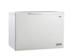 420L AWS-420C Chest Freezer White Door Chest Freezer with Lock Fridges and Deep Freezers