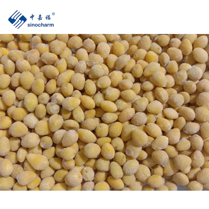Sinocharm BRC A Top Quality Chinese Frozen Fruits Yellow Green Natural Color IQF Frozen Ginko Nut