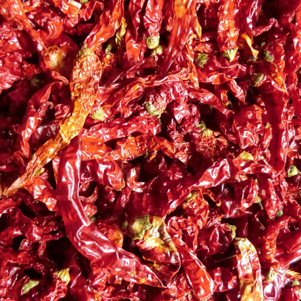 Natural Food Seasoning Condiment Shanxi Pepper Dried Red chilli