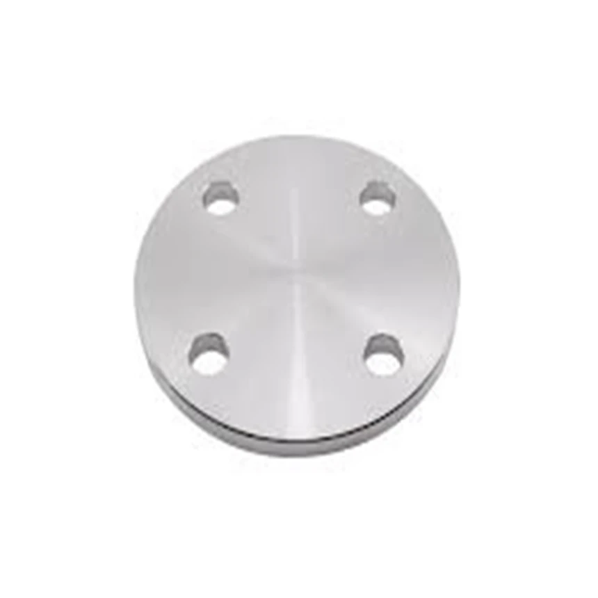 Forged 316Ti UNS S31635 Flange Stainless Steel Pipe Fittings Blind Flange