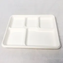 10.5*8.5 Inch Biodegradable bagasse tray container disposable tableware