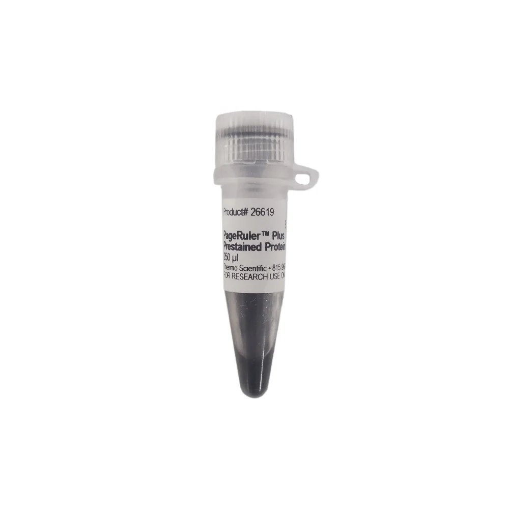Protein marker (10-250 kDa) Protein Extraction reagent for Gel Electrophoresis