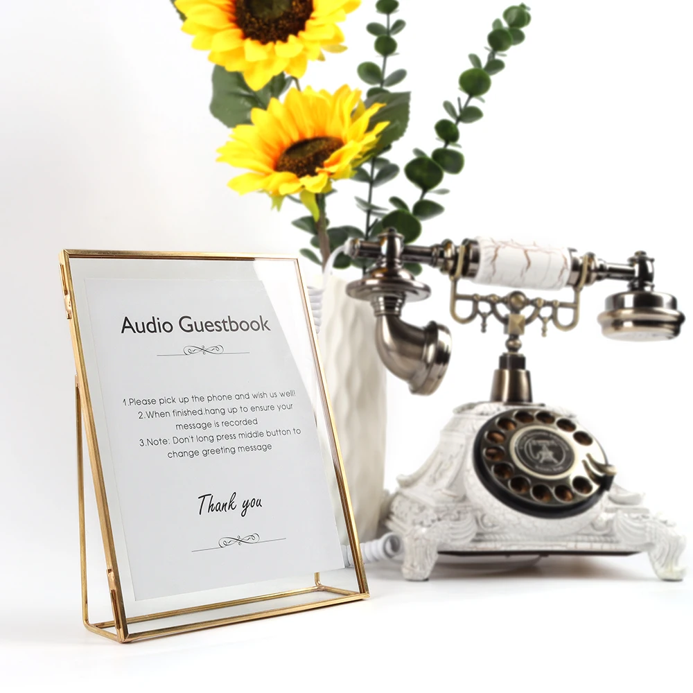 Cheeta white color antique telephone message recording audio guest book phone