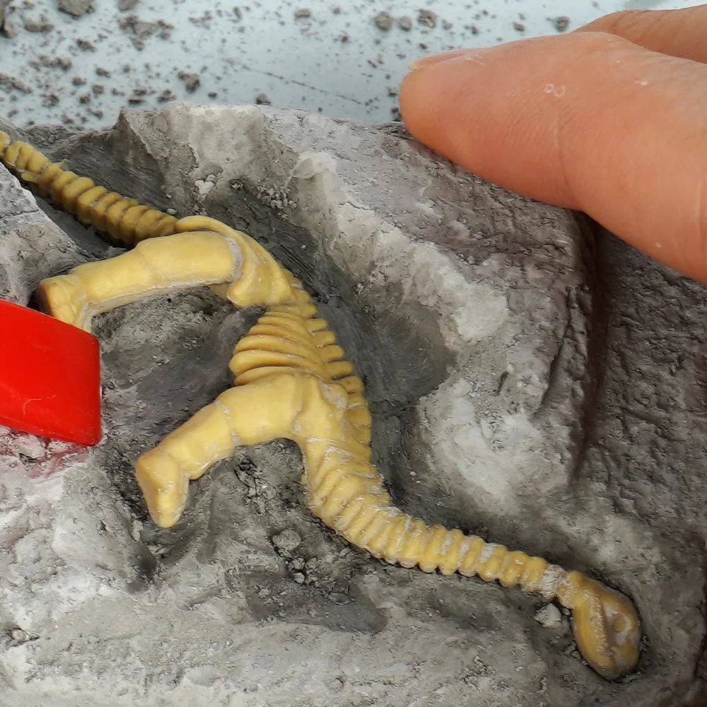 Dinosaur Toys Science Educational Kit Kids Gift Dig It up Excavation Fossil 3D Skeletons Digging Set
