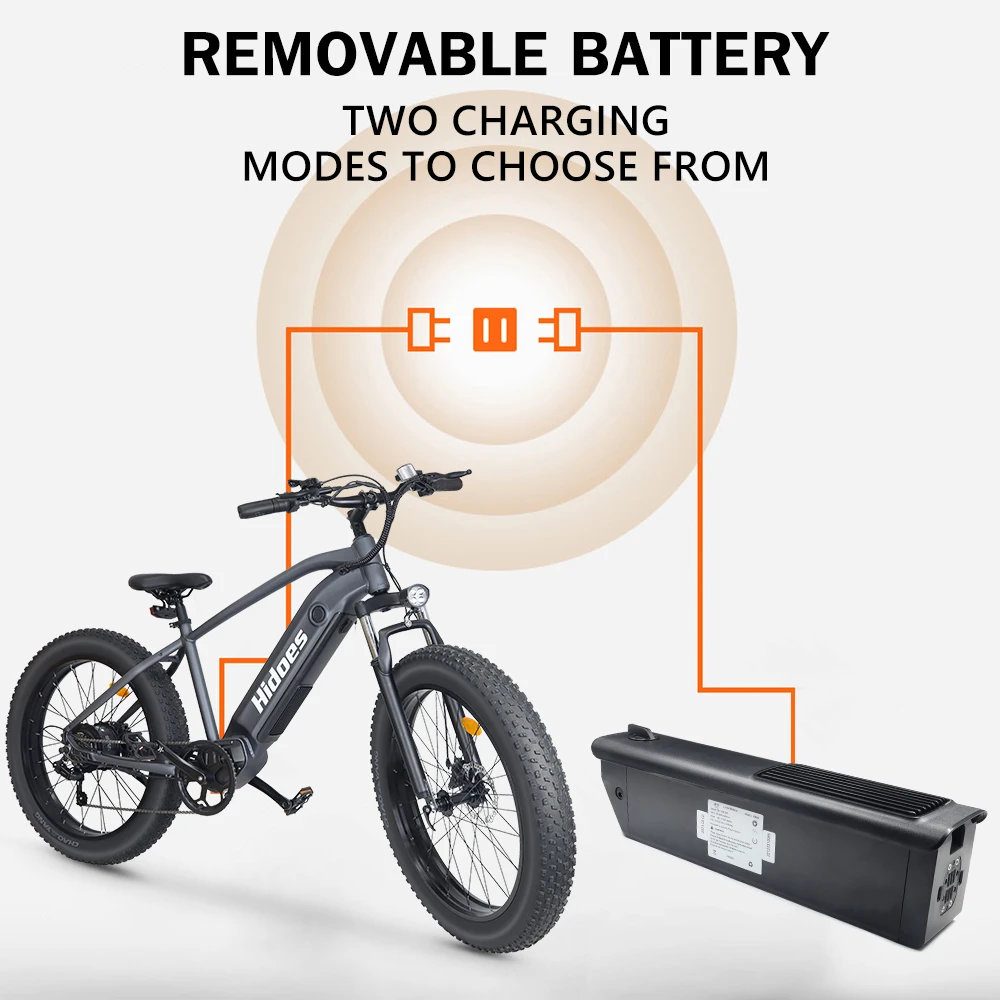 US Hidoes B5 Wholesale Price Buy Electric Bike | Fat Tire Electric Bicycle | Factory Direct Sale Electric Bicycle Ebike E Bike
