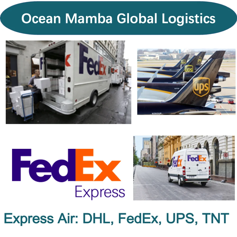 DDP Sea Freight Forwarder Fast Transportation With Truck/UPS Pick Up Service Best Price From China to USA