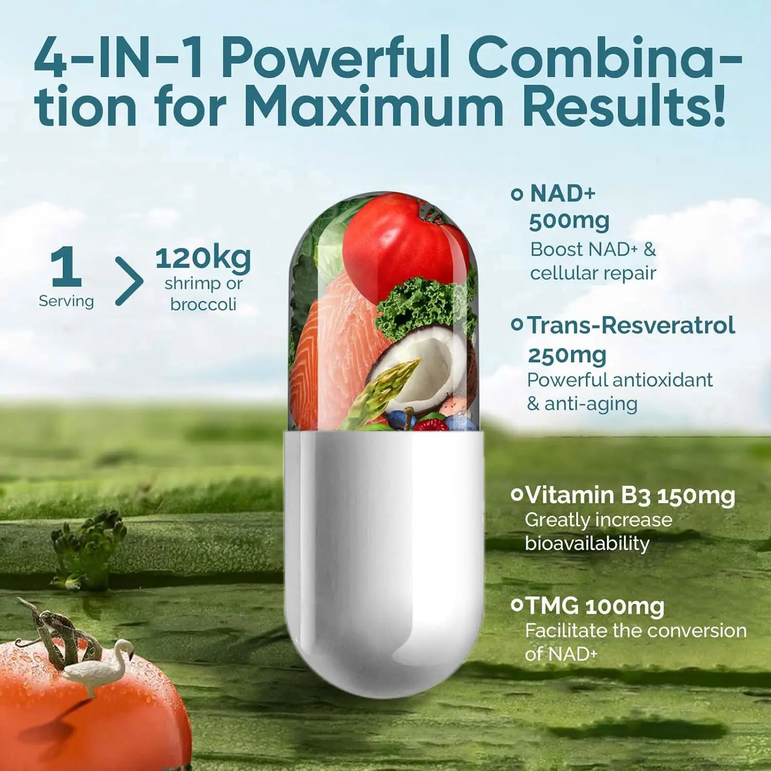 NAD+ Supplement 14,300mg With Nicotinamide Riboside NR, Trans Resveratrol, Quercetin - Support Cellular Energy, Longevity