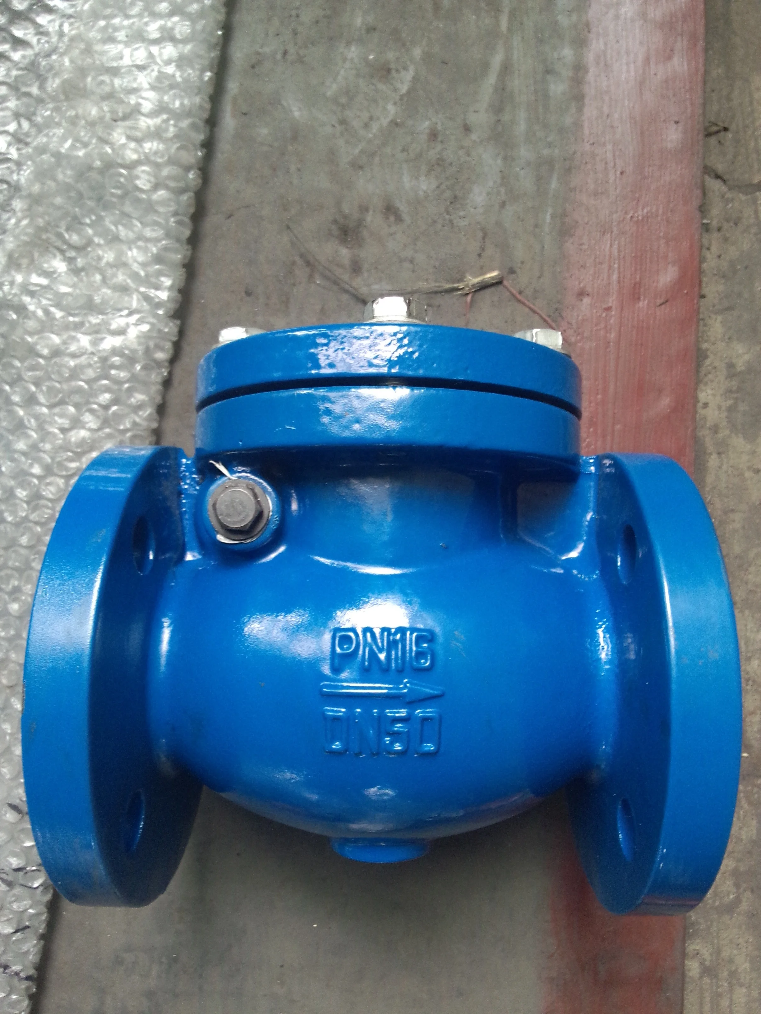 
DIN standard cast iron check valve with good quality China 