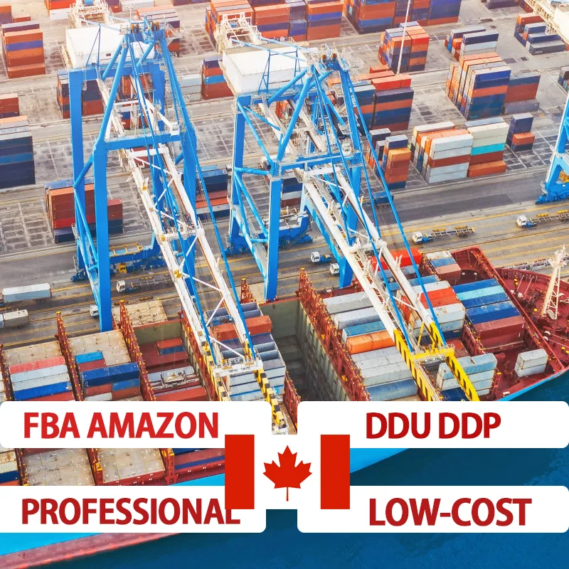 Самая дешевая таможенная очистка и услуги экспедитора международных логистических компаний