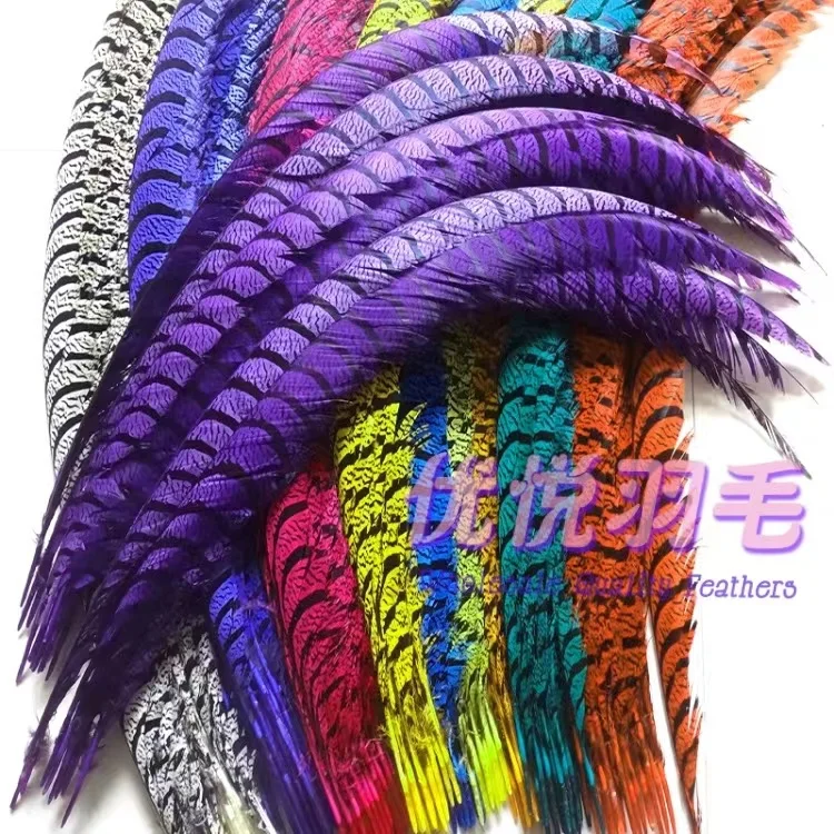 wholesale Top Quality  lady zebra pheasant ringneck reeves  tail feather  for Carnival samba decoration