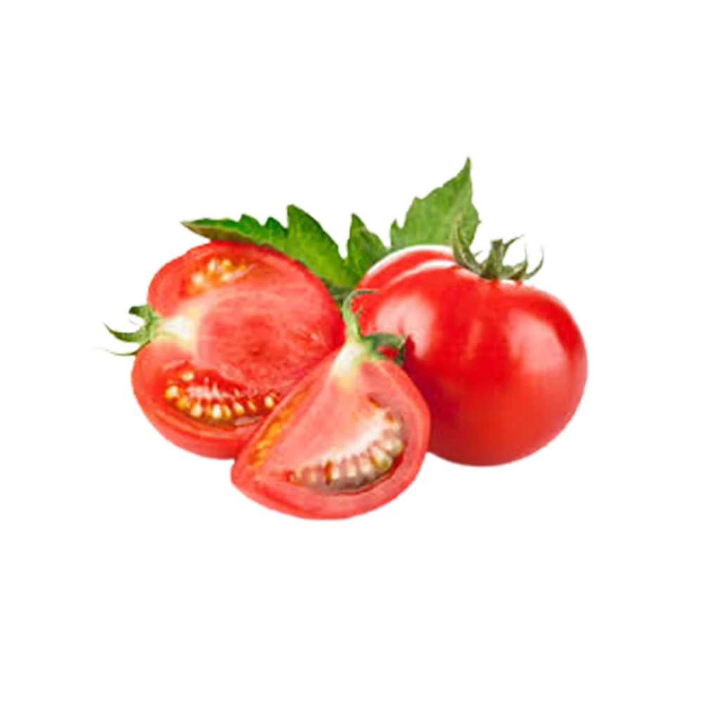 Preservative Free Fresh Organic Tomatoes For Export High Quality Premium Vegetable Food Product Wholesale Reasonable Price