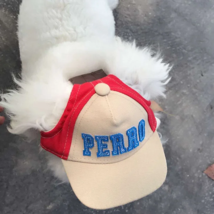 Best Selling Winter Animal Adorable Accessories Headdress Outdoor Waterproof Sun Proof Baseball Pet Hats For All Small Dog Cat