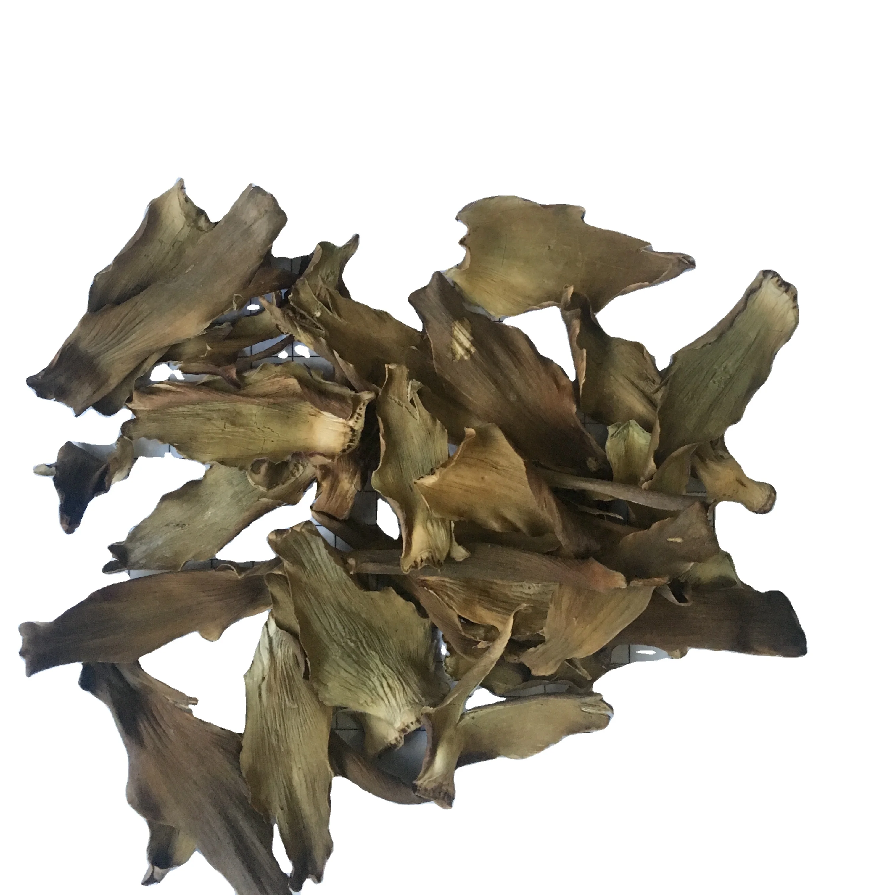 artichoke Cynara scolymus  herbs  high quality no stem no small seeds good for tea and no empty seeds fresh crops