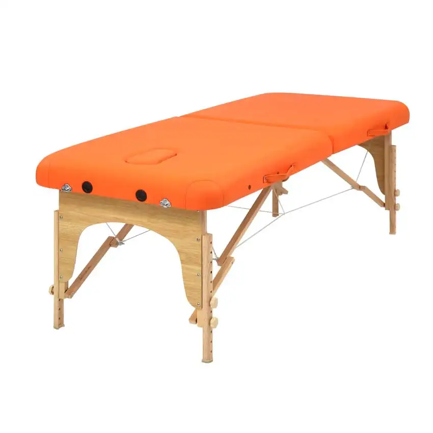 Cambodia Factory Custom Luxury Aluminum Folding Thai Milking Adjust Bed Spa Portable Massage Table Tattoo Bed with Backrest