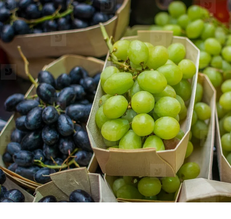 
Fresh Grapes Seedless, Grapes with Seeds- In Stock, Best Quality and Price 