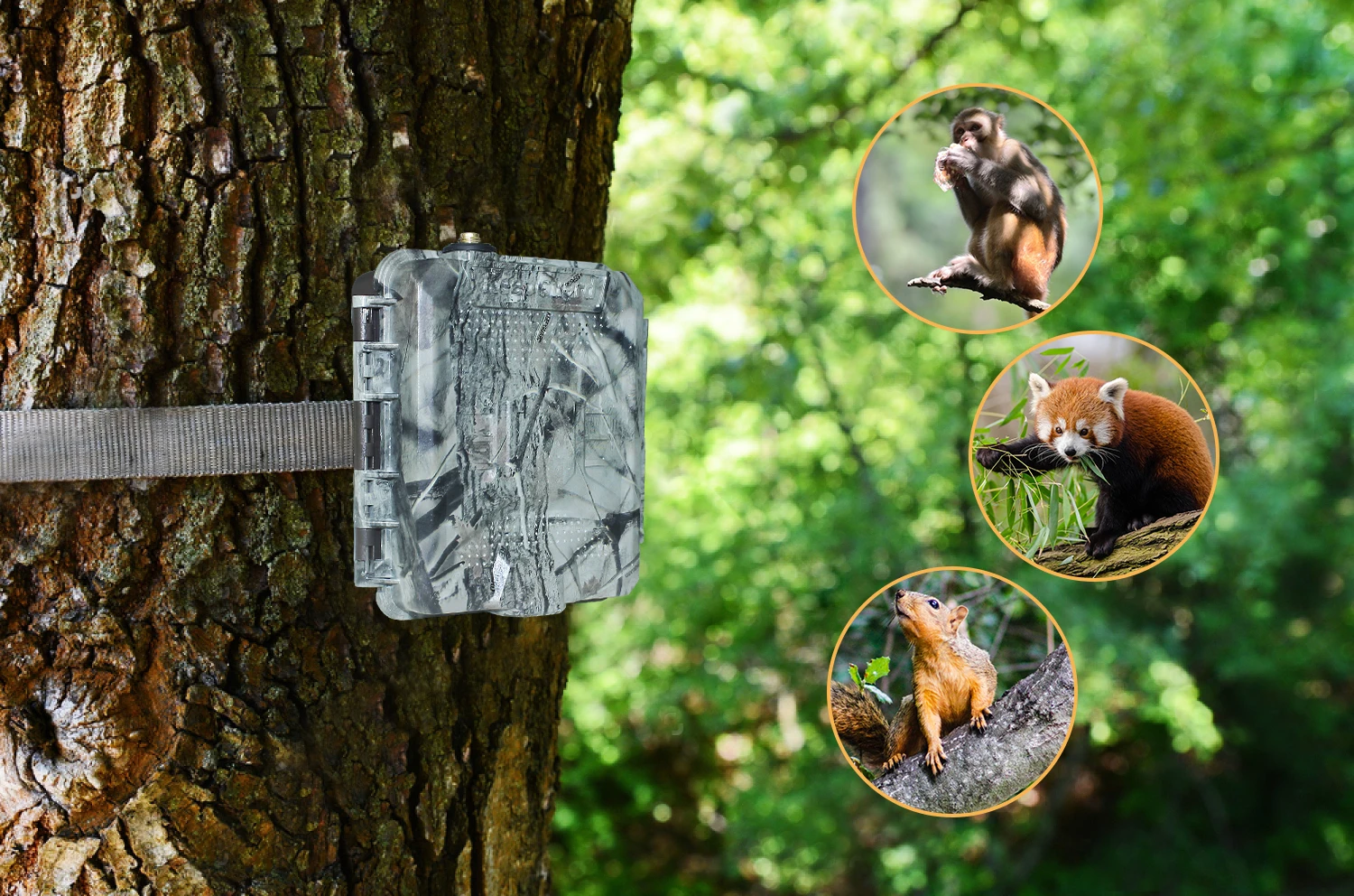Wildlife 2G SMS Wildlife Hunting Wireless Trap Alarm Support 1 to 5 Mobile Numbers Remote - Alert Trap Alarm