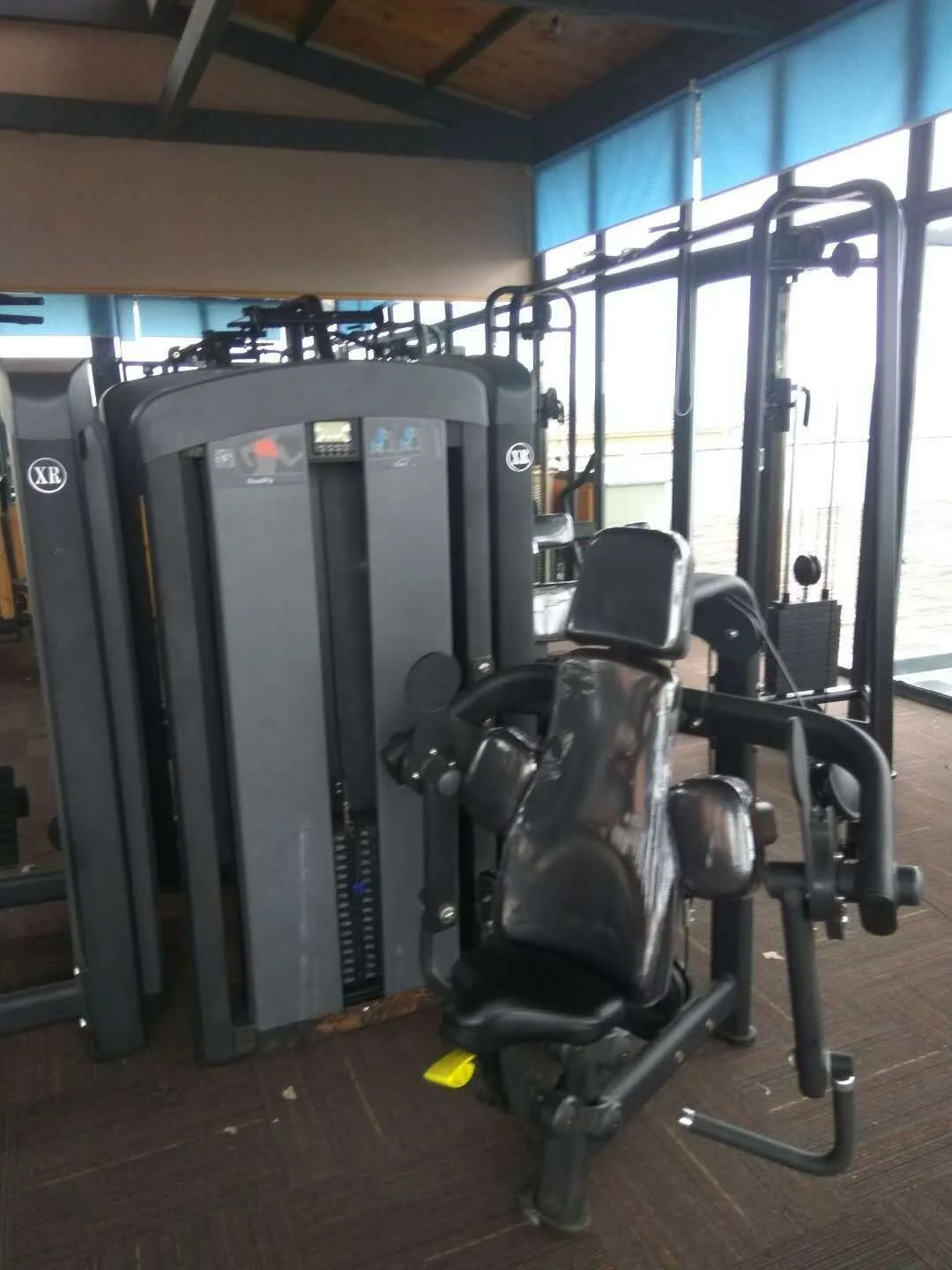 Best selling products Gym strength training gym equipment commercial equipment independent biceps curl machine
