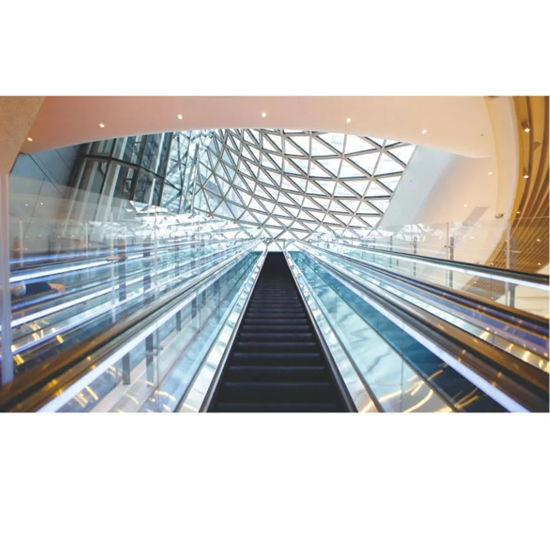 Fuji Escalator Commercial Escalator Cost Indoor and Outdoor High-Quality Electric Escalator