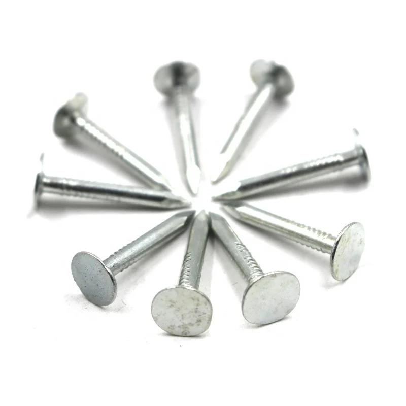 Big head  3/4  inch galvanized  clout nails roofing nails
