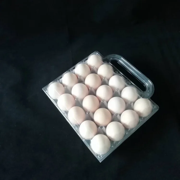  20 cells plastic eggs trays with