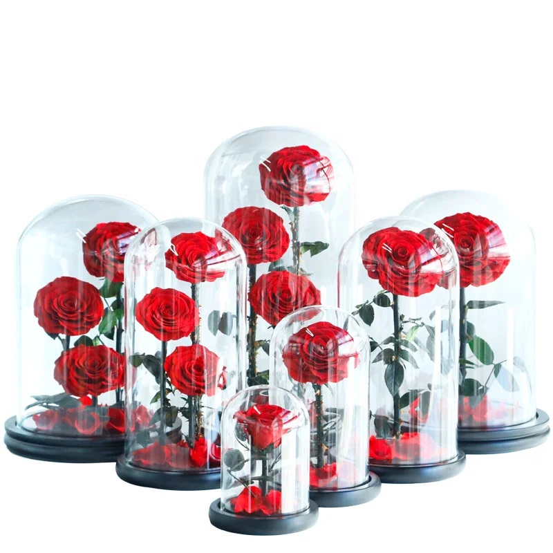 Every Love  6-7 Cm Rose Bud   High Quality Handmade Three Preserved Roses In Glass Dome For Gift  Wedding Home Decoration
