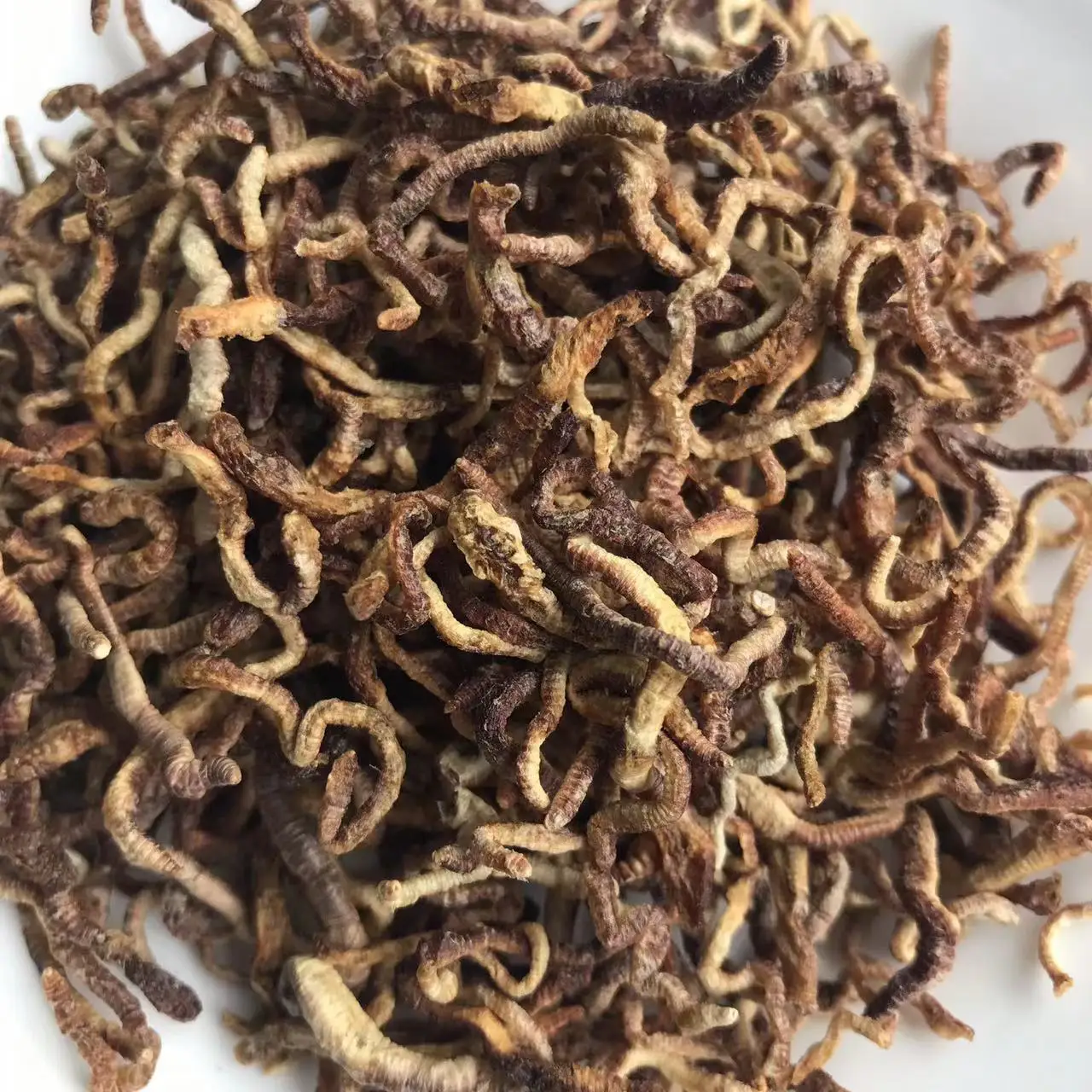 Замораживание сушеных дождевых червей рыбные приманки корм для домашних животных