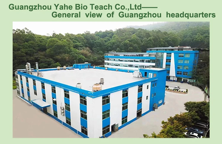 18 years food flavor supplier  good quality  hazelnut flavor powder for food flavoring offer customized flavour