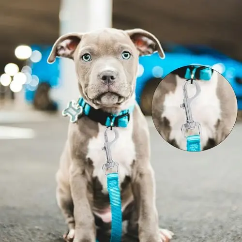 Wholesale Solid Brass Alloy Heavy Duty Metal Swivel Snap Hook For Dog Leash