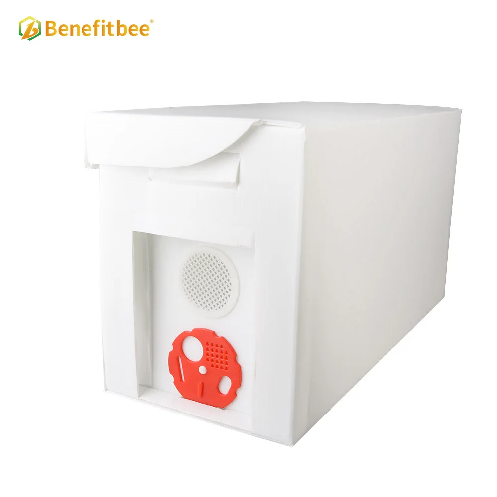 Beekeeping hive tools 5 frames nuc box plastic beehive