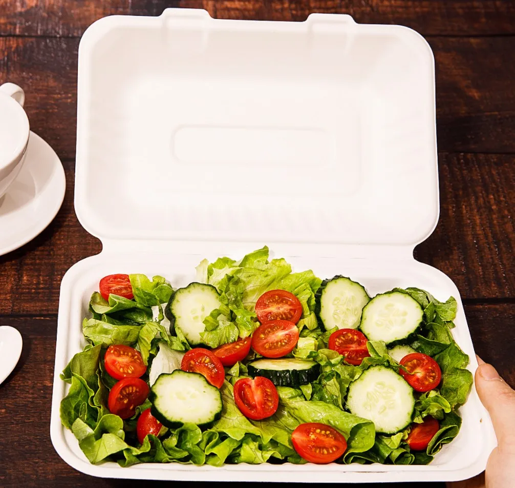 Ok compost 100% biodegradable Compostable food container tableware sugarcane bagasse clamshell bowl tray with lid