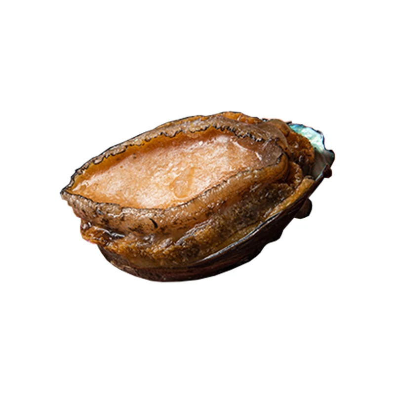 Wholesale High Quality 3 Capsules 250g Frozen Whole Abalone For Sale