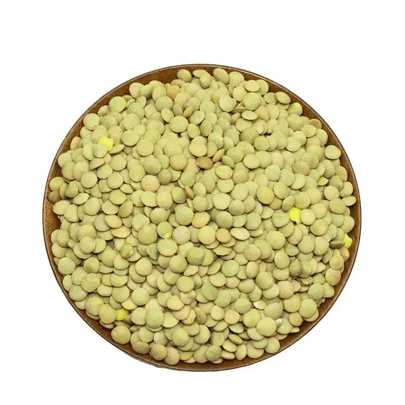 Bulk wholesale Dried green lentils Non-GMO healthy food 100% natural organic beans food legumes