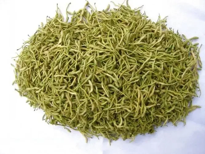 Herbal Honeysuckle Flower Jin yin hua Dried  honeysuckle Chinese dried flower herbal tea dried Honeysuckle flower