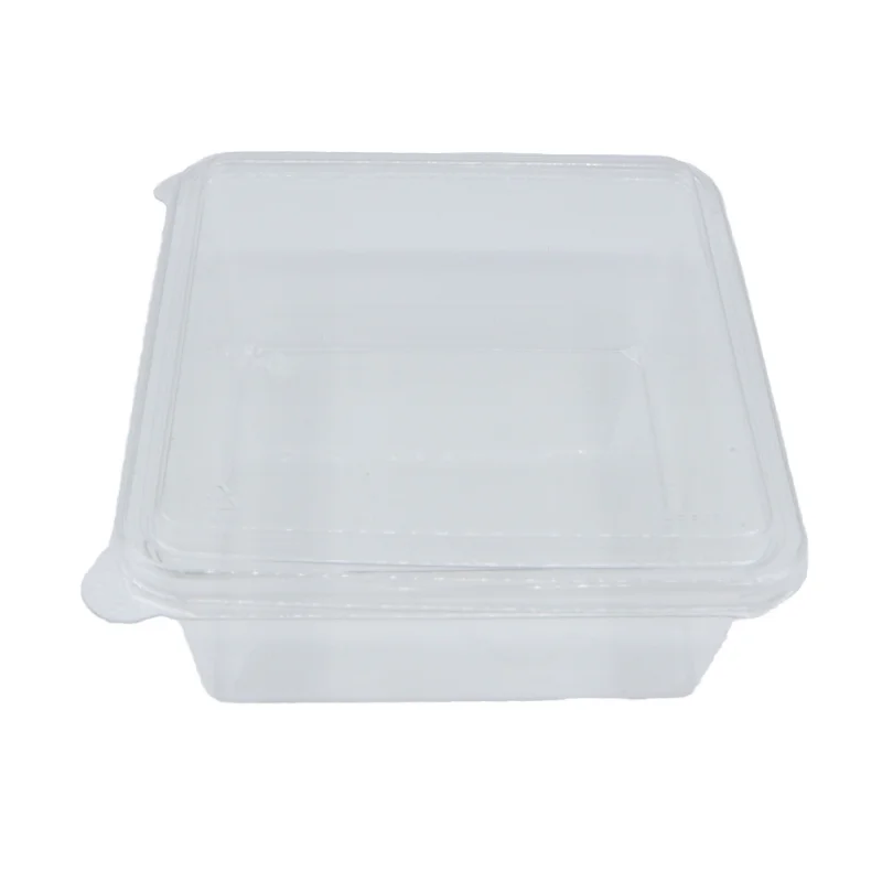 Square Containers with Clamshell for Salad & Cakes Portable Food Storage Boxes Clear Plastic Customized Pet Single Cupcake Box