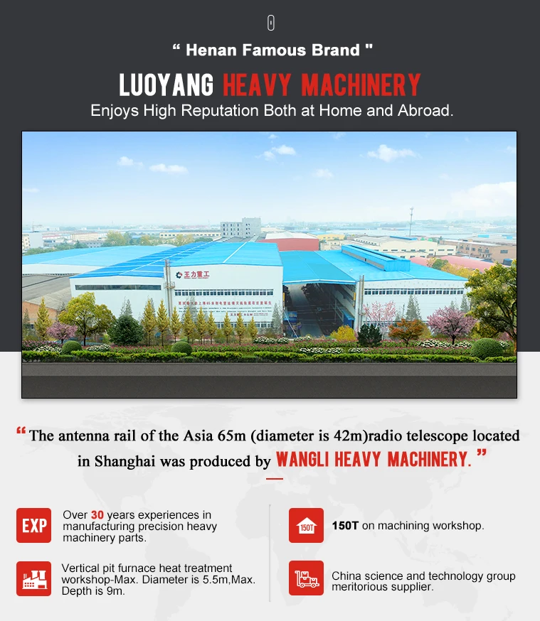 
High Quality Forging Worm Wheel Gear 