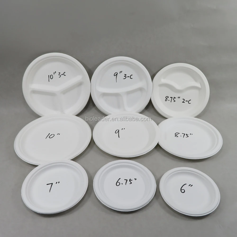 Cheap sugarcane bagasse pulp food paper 10 inch plate