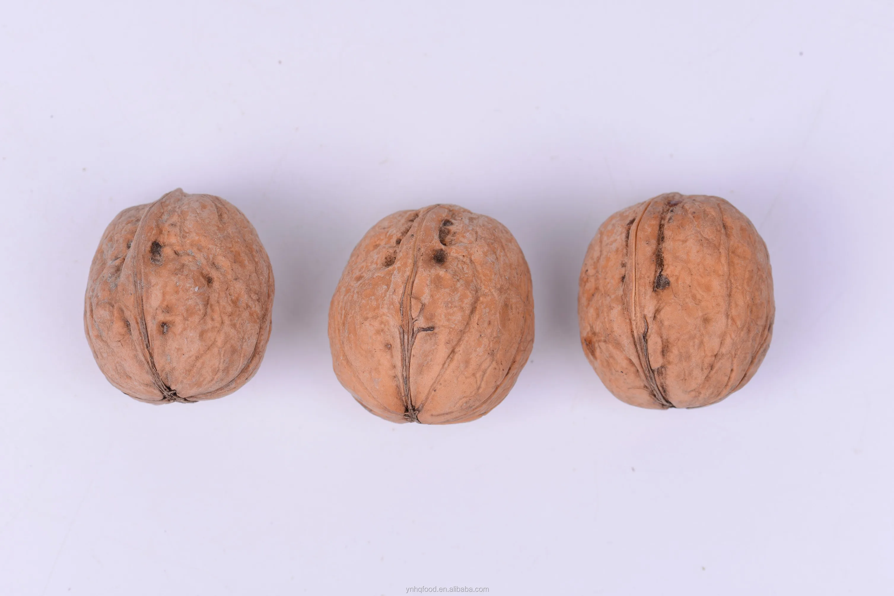 Бесплатные образцы nueces xinjiang сырые сухие грецкие орехи в