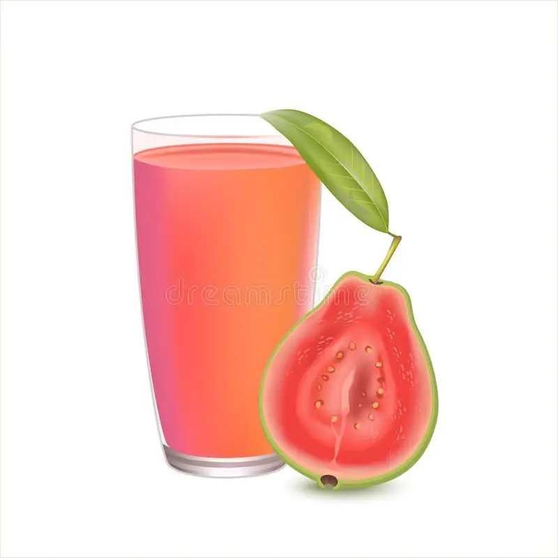 500ml Guava Juice not From Concentrate Cheap Price Hot Sell Fruit Juice Fresh 100% Purity Best Quality Brand From Vietnam