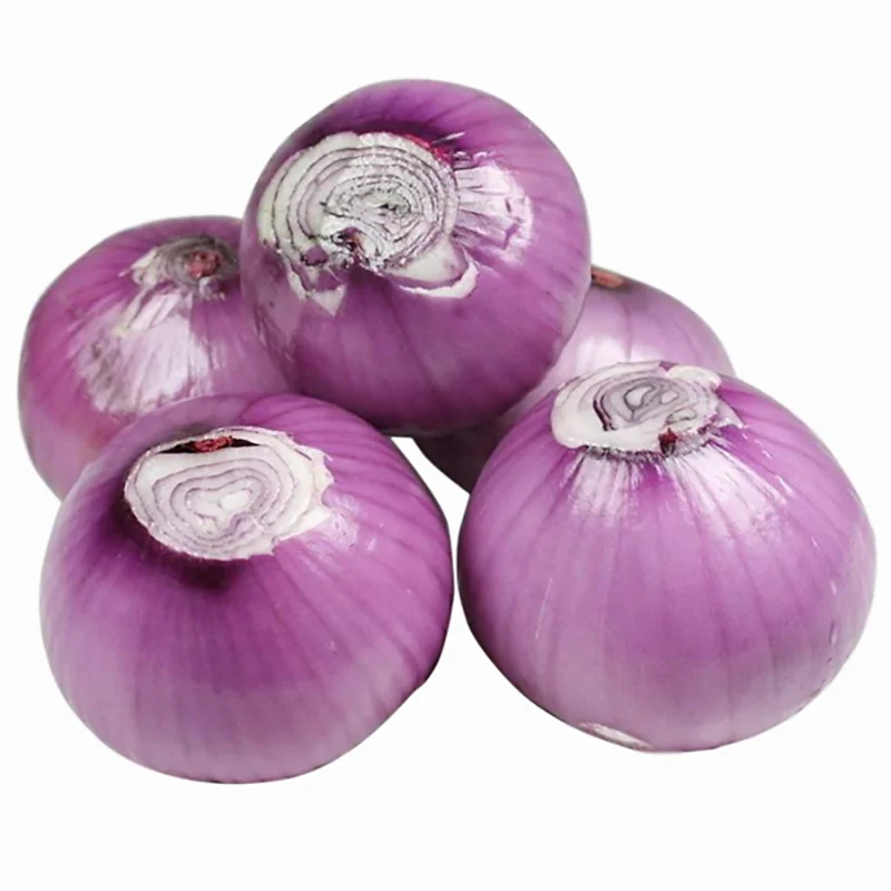 
Red onion yellow onion best quality cheap price 