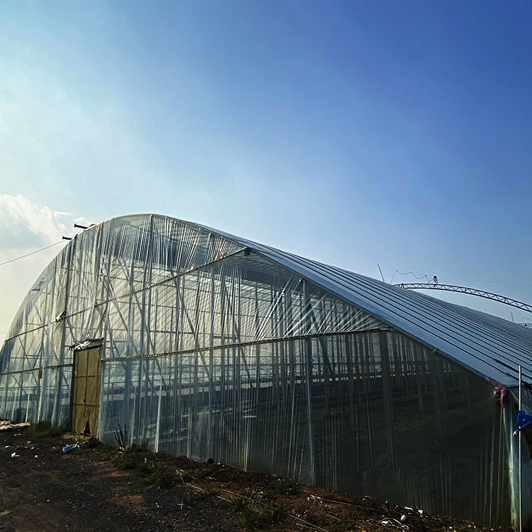 po greenhouse film uv treated polythene film greenhouse blue etfe film greenhouse