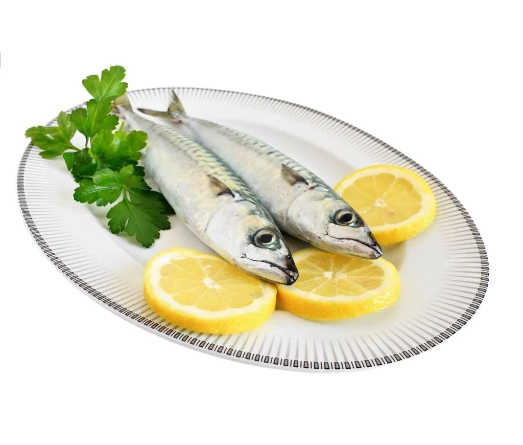 
New landing sea frozen north pacific Mackerel fish for export 