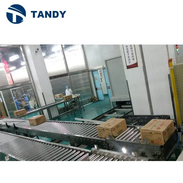 Stainless Steel Profile Food Packing Carton Transport Gravity Motorized Roller Conveyor System
