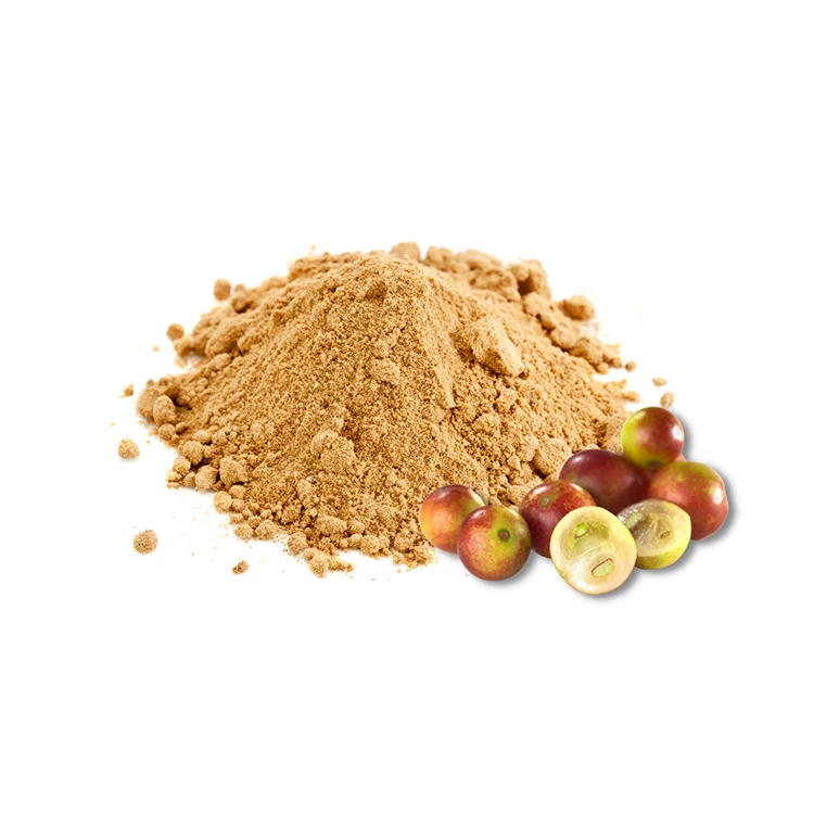 Organic Vitamin C Herb Extract Powder Antioxidant Dietary Supplement Ingredient Freeze Dried Camu Camu Powder
